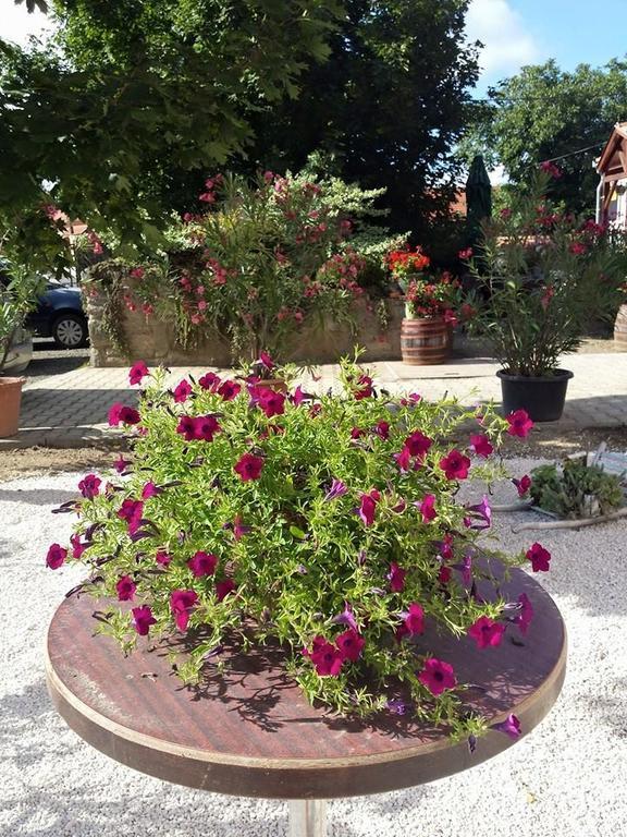 Borostyankert Etterem & Vendeghaz Otel Sitke Dış mekan fotoğraf