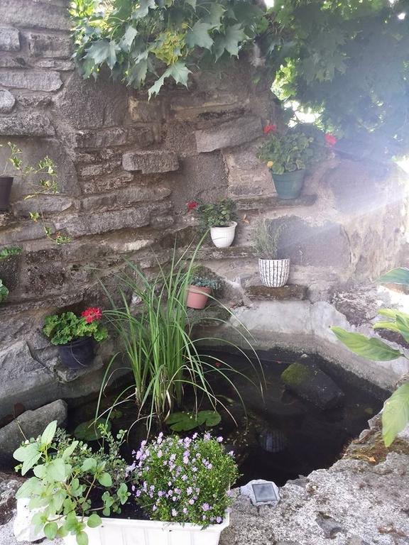Borostyankert Etterem & Vendeghaz Otel Sitke Dış mekan fotoğraf