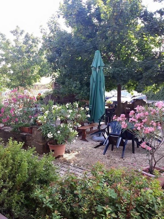Borostyankert Etterem & Vendeghaz Otel Sitke Dış mekan fotoğraf